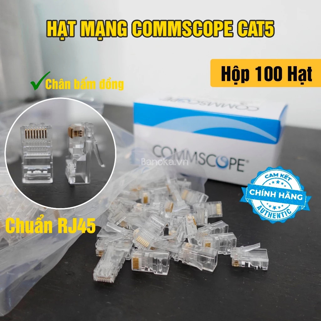 Hạt mạng Rj45 Commscope CAT5 chính hãng
